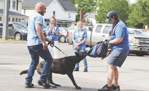 Safety Meeting Protecting Employees from Dog Bites