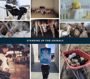 The Cruelty of Factory Farming: A Call for Change