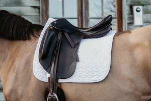 Dressage Saddle Pads A Must Have for Every  Rider