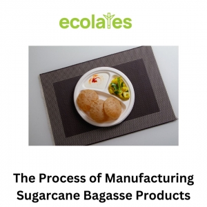 The Process of Manufacturing Sugarcane Bagasse Products