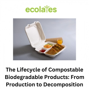 The Lifecycle of Compostable Biodegradable Products: From Production to Decomposition