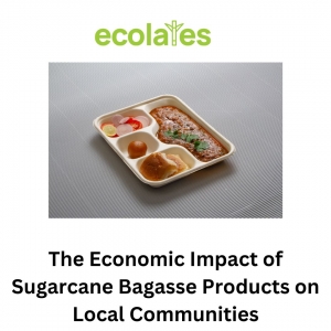 The Economic Impact of Sugarcane Bagasse Products on Local Communities