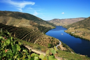 Scenic River Cruises in Douro Valley: A Journey Through Portugal's Wine Heartland