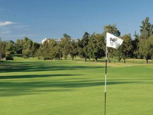 Embark on an Unforgettable Golf Adventure: Penina Golf Holidays in Portugal