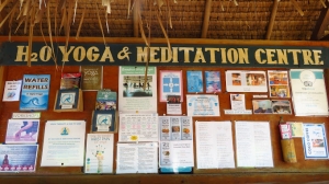 Lombok Yoga Retreats