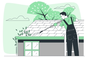 How to Choose the Right Roof Cleaning Service