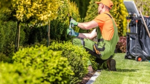 Choosing the Right Commercial Lawn Care Provider - Factors to Consider