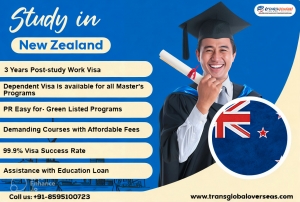 Your Guide to New Zealand Study Visa Consultants 