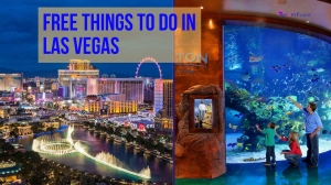 Vegas on the Cheap: 10 Free and Fun Things to Do in Las Vegas
