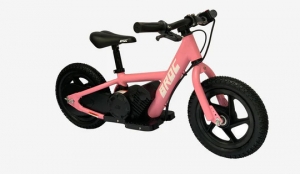 Exploring the Future: The Rising Trend of Child-Friendly Electric Bikes