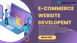 Why Do You Need a Professional e-Commerce Website Development Company?