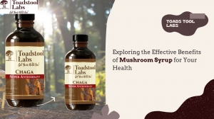 Exploring the Effective Benefits of Mushroom Syrup for Your Health