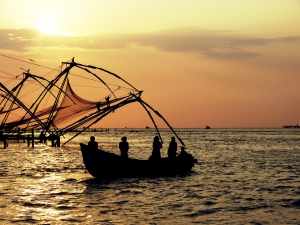 Kerala Tour from Salem: A Seamless Journey