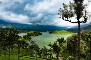 Kerala Tour from Kolkata - Make Your Vacation Truly Unforgettable