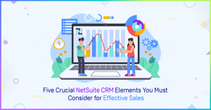 A Comprehensive Guide to Driving Business Growth NetSuite Customer Support & Customization | OpenTeQ