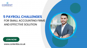 5 Payroll Challenges for Small Accounting Firms and Effective Solutions