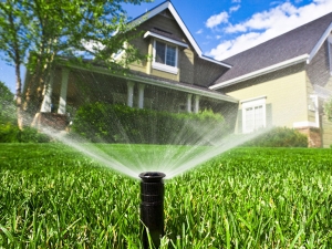 Keeping Your Baton Rouge Lawn Lush and Thriving: All Seasons Landscaping Irrigation System Installation Expertise