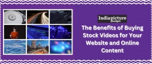 The Benefits of Buying Stock Videos for Your Website and Online Content