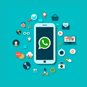 Guide to Starting Bulk WhatsApp Marketing Campaign in Ahmedabad