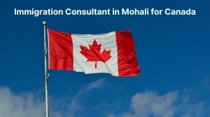 Best Immigration Consultant in Mohali for Canada - Global Guide