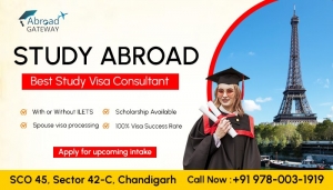 Getting The Most Out Of Student Visa Consultants In Chandigarh For Canada