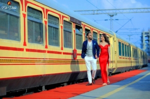 Palace on Wheels: Experience India's Luxury Train Journey