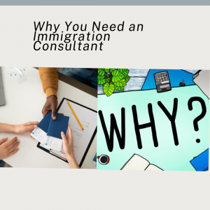 Why You Need an Immigration Consultant for a Successful Visa Application?