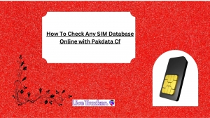 How To Check Any SIM Database Online with Pakdata Cf