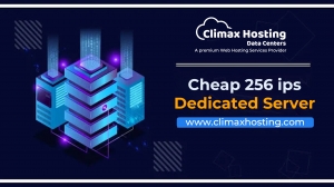 Affordable 256 IPs Dedicated Server Plans – Top Performance and Low Cost