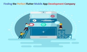 Finding the Perfect Flutter Mobile App Development Company