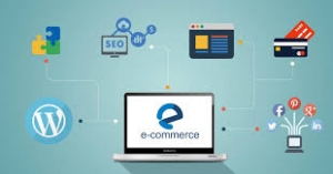 Building the Future of E-commerce: BigCommerce Development Insights