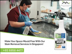 Rescue Your Carpets With Stain Removal Services in Singapore