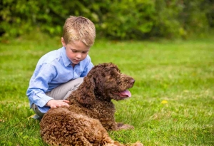 The Innovative Solution to Pet Safety: Pet Stop's Invisible dog fence in Richmond