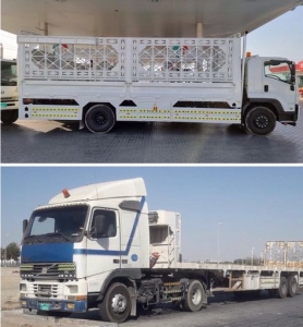 3 Ton Pickup Rental Services in Dubai: Easy Solutions for Your Needs