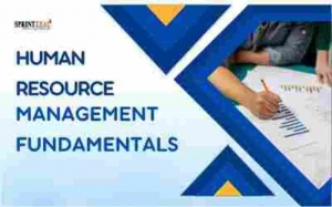 Human Resource Management (HRM) Fundamentals: A Comprehensive Guide