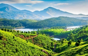 Post Cardtrip Kerala Escapes: Tailored Vacation Packages