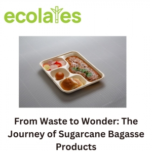 From Waste to Wonder: The Journey of Sugarcane Bagasse Products