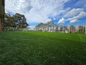 sydney artificial grass ideas