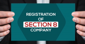 Section 8 Company vs. Trust Registration: Choosing the Right Framework for Your Non-Profit