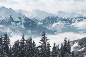 Srinagar Tour Packages