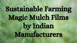 Mulching Your Way to Success Why Mulch Film is a Game-Changer for Modern Farming