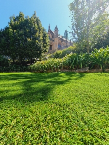 Artificial Grass in Sydney: A Winter Wonderland
