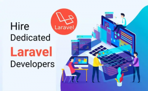 Hiring Expert Laravel Developers