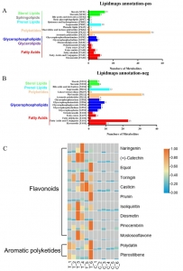 Lipidomics Databases and Software Tools for Biomedical Research