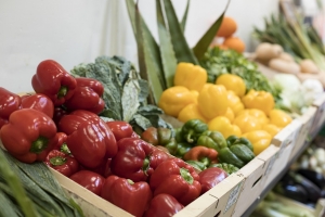 The Future of Fresh Produce Distribution: Trends and Innovations!