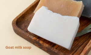Best goat milk soap 