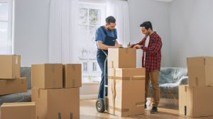 Expert Hacks for a Smooth Long-Distance Relocation