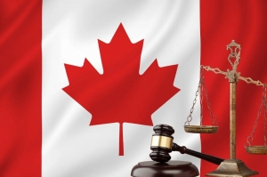 Pardon - A Legal Forgiveness for Past Mistakes