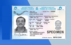 Download Photoshop Driver's License Template at IDTempl.com 