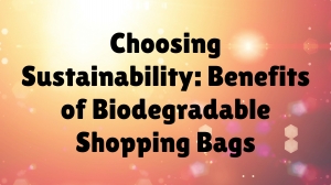 Choosing Sustainability: Benefits of Biodegradable Shopping Bags